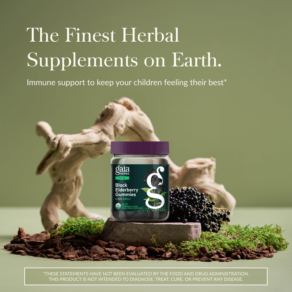 Gaia Herbs Black Elderberry Daily Gummies for Kids - 40 Gummies - image 2