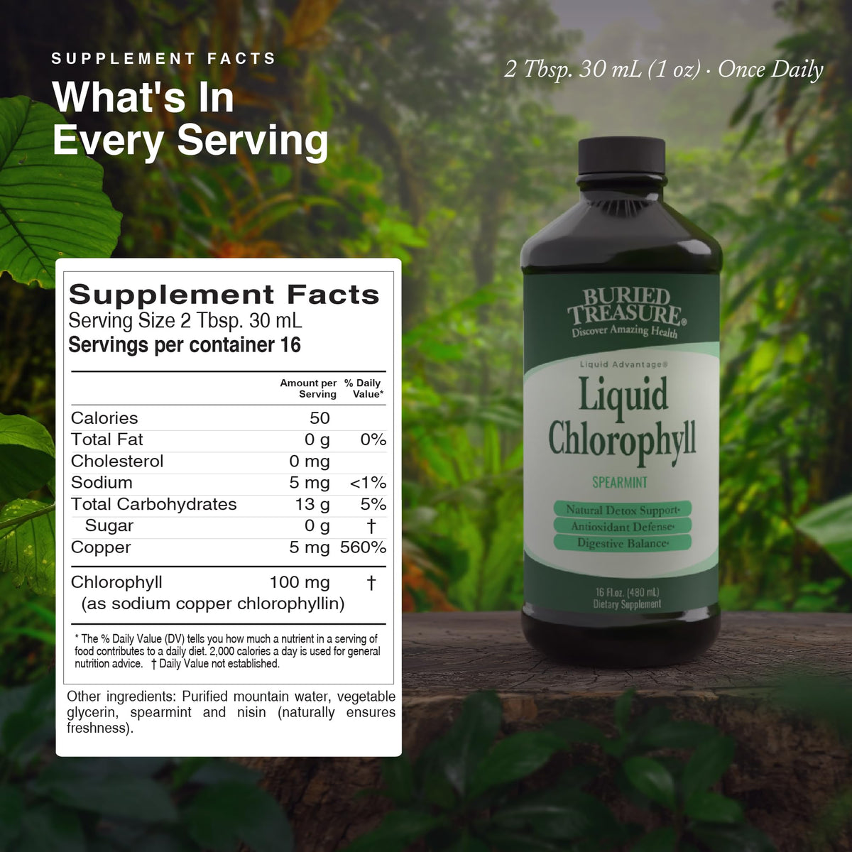 Buried Treasure Liquid Chlorophyll 100 mg Energy Support - 16 oz - image 2