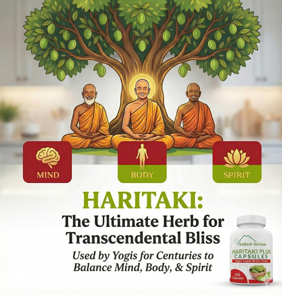 Kailash Herbals Organic Haritaki Capsules - 100 Capsules - image 3