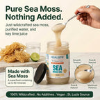 HX HEALISTIX Healistix Raw Sea Moss Gel - 16 Oz - image 2