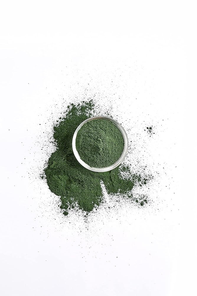 Spring Spirulina Powder Clean Green Superfood - 100g - image 5