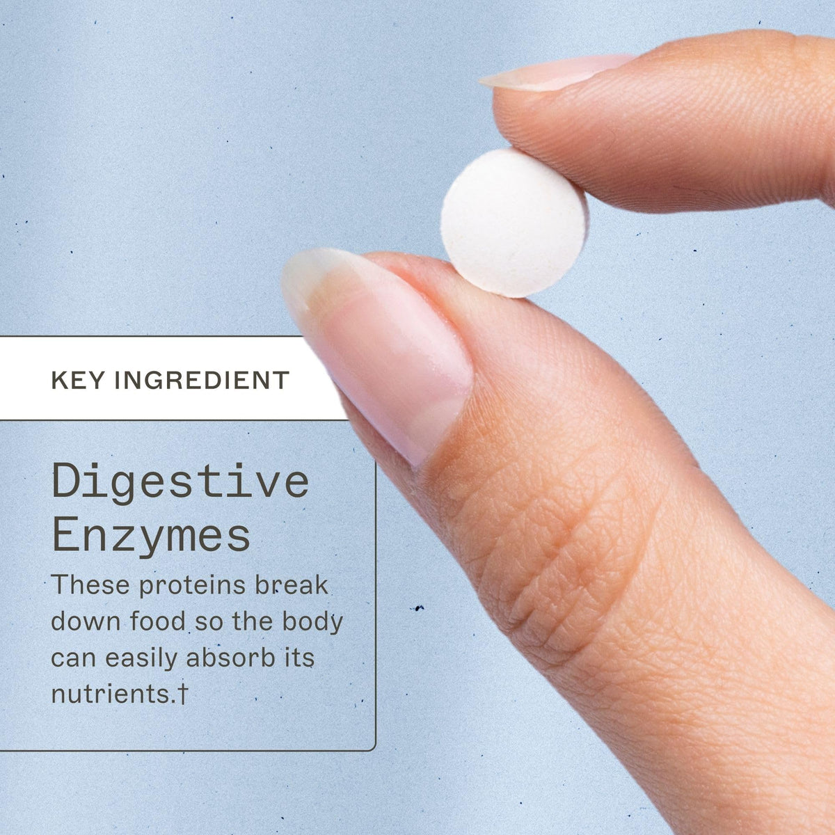 Amy Myers MD Digestive Enzymes Chewable - 180 Tablets - image 2