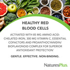 NaturesPlus Hema-Plex Iron 85 mg - 60 Capsules - image 2