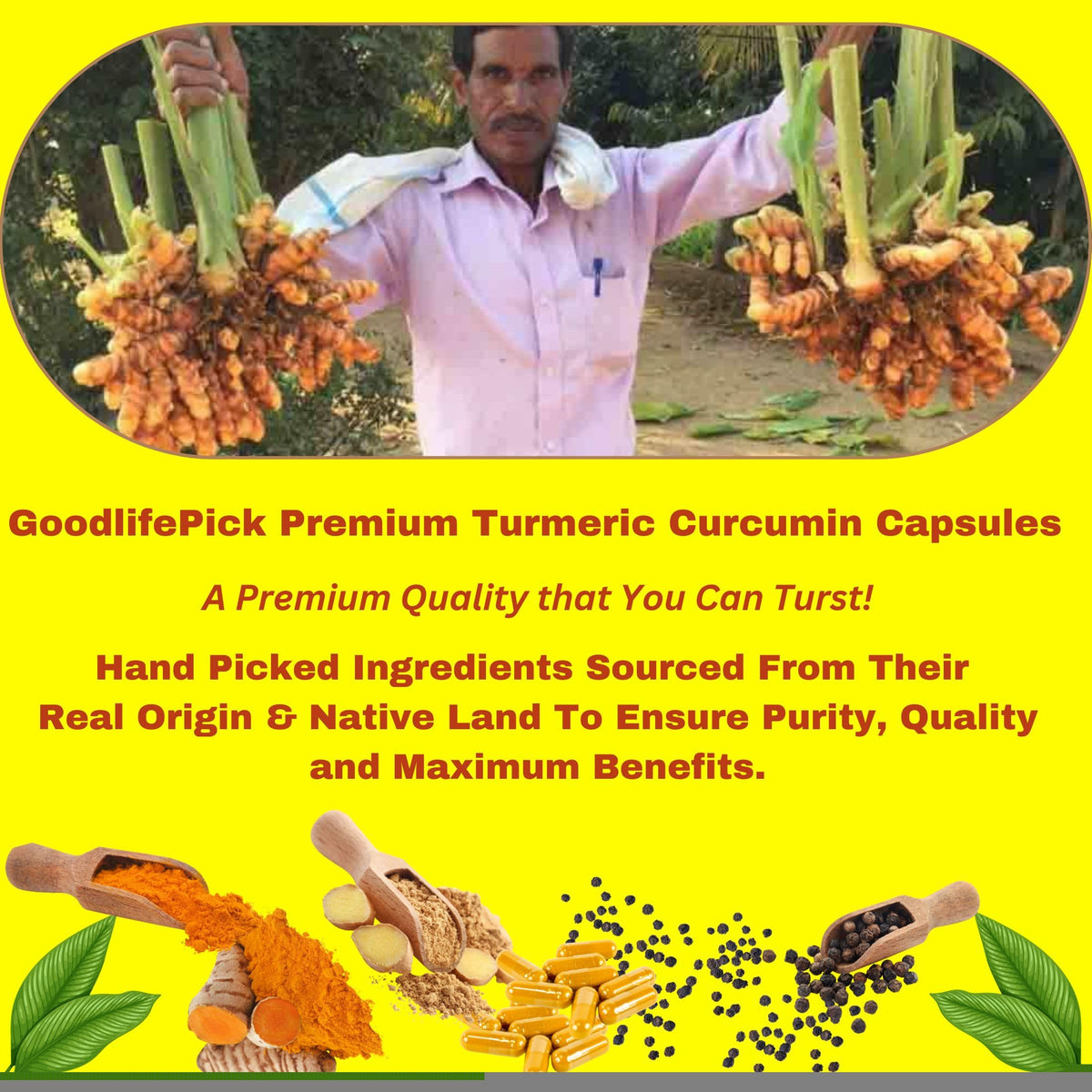 GoodlifePick Premium Turmeric Curcumin Capsules with Ginger & Black