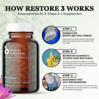 Native Formulas Restore 3 Proteolytic Enzyme & Spore Probiotic - 60 Capsules - image 4
