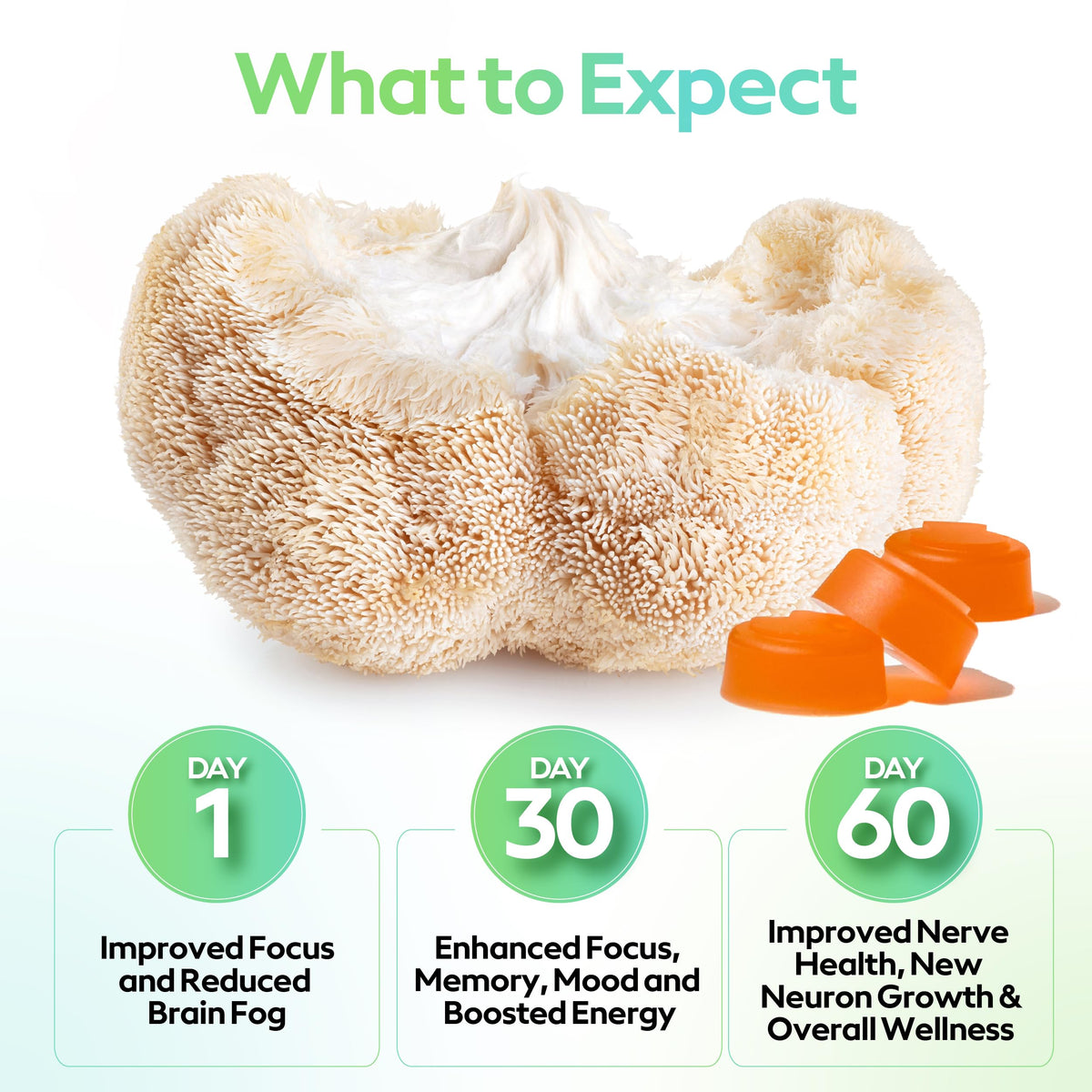 Troop Lion's Mane Mushroom Gummies for Focus - 60 Count - image 2
