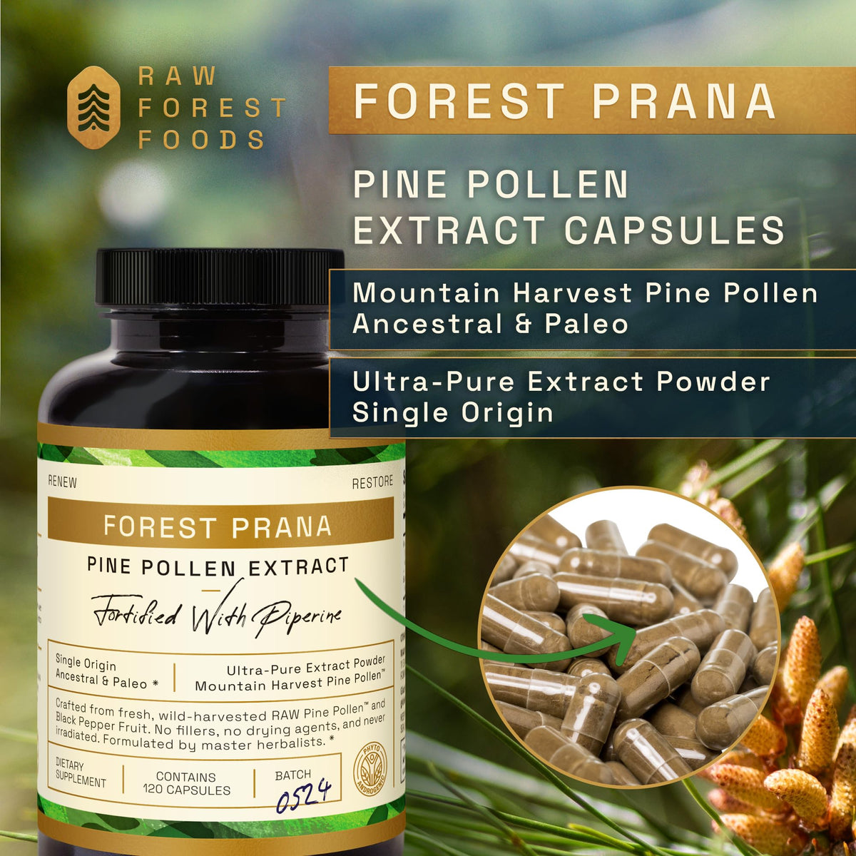 RAW Forest Foods Pine Pollen Extract 50:1 - 120 Capsules - image 4