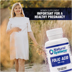 Natural Systems Folic Acid 400 mcg Prenatal Vitamin - 100 Tablets - image 4