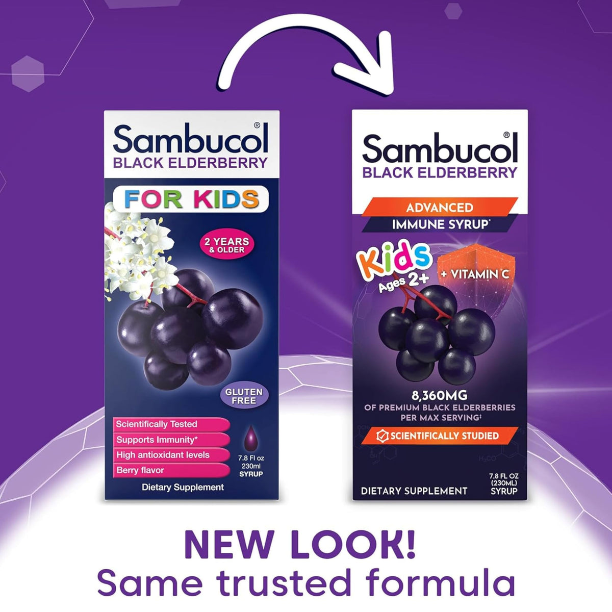 Sambucol Black Elderberry Syrup for Kids - 8 Fl Oz (2 Pack) - image 2