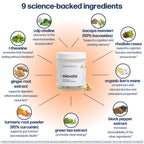 Avantera Elevate Premium Nootropic Supplement - 60 Capsules - image 5