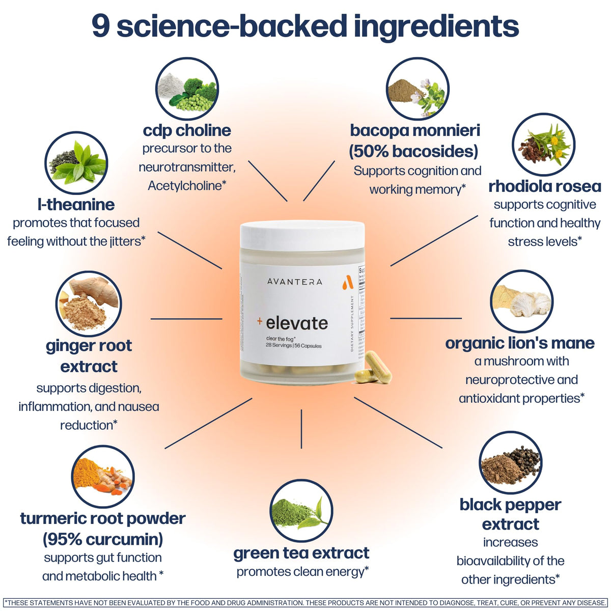 Avantera Elevate Premium Nootropic Supplement - 60 Capsules - image 5