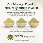 Organic Spice Resource Moringa Powder
