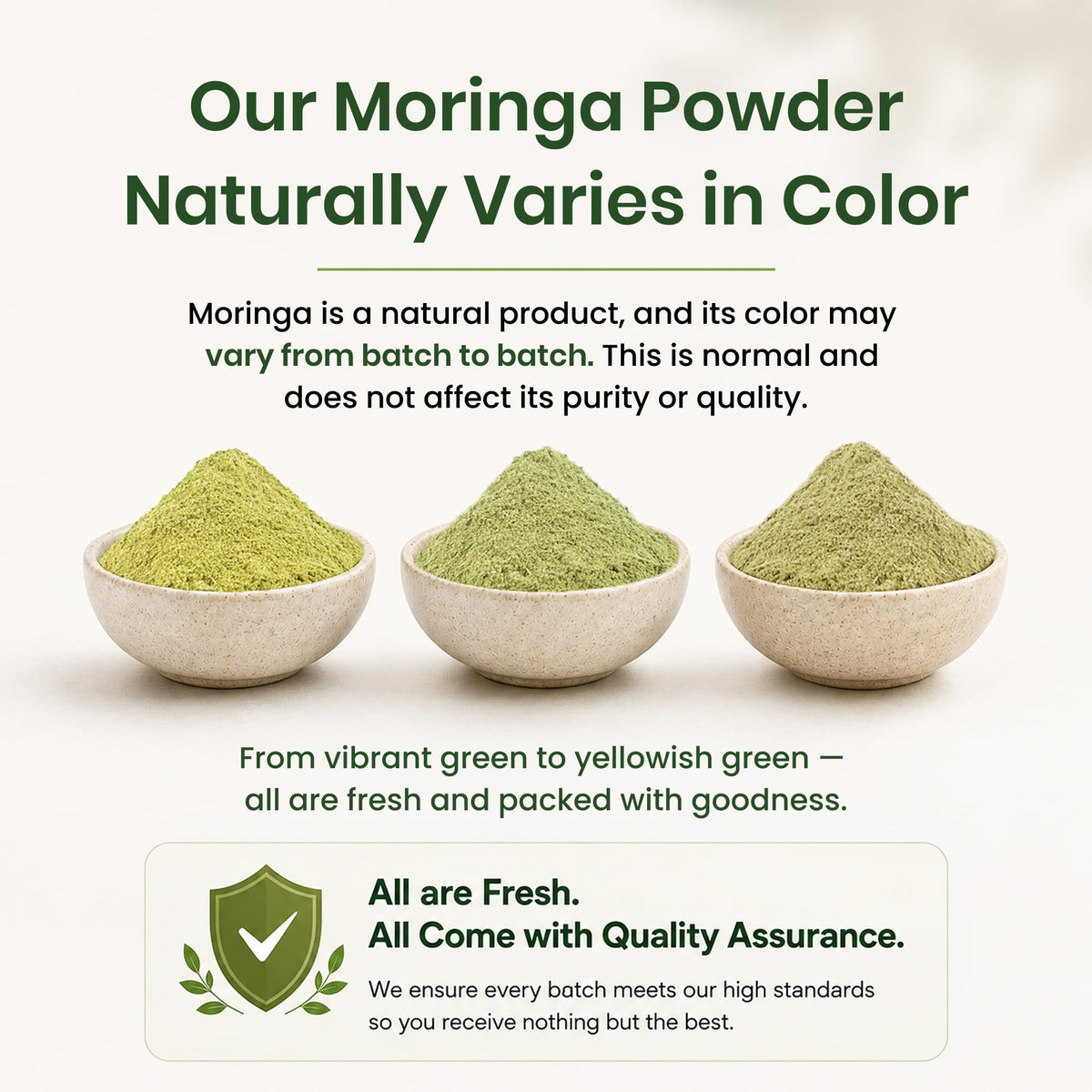 Organic Spice Resource Moringa Powder