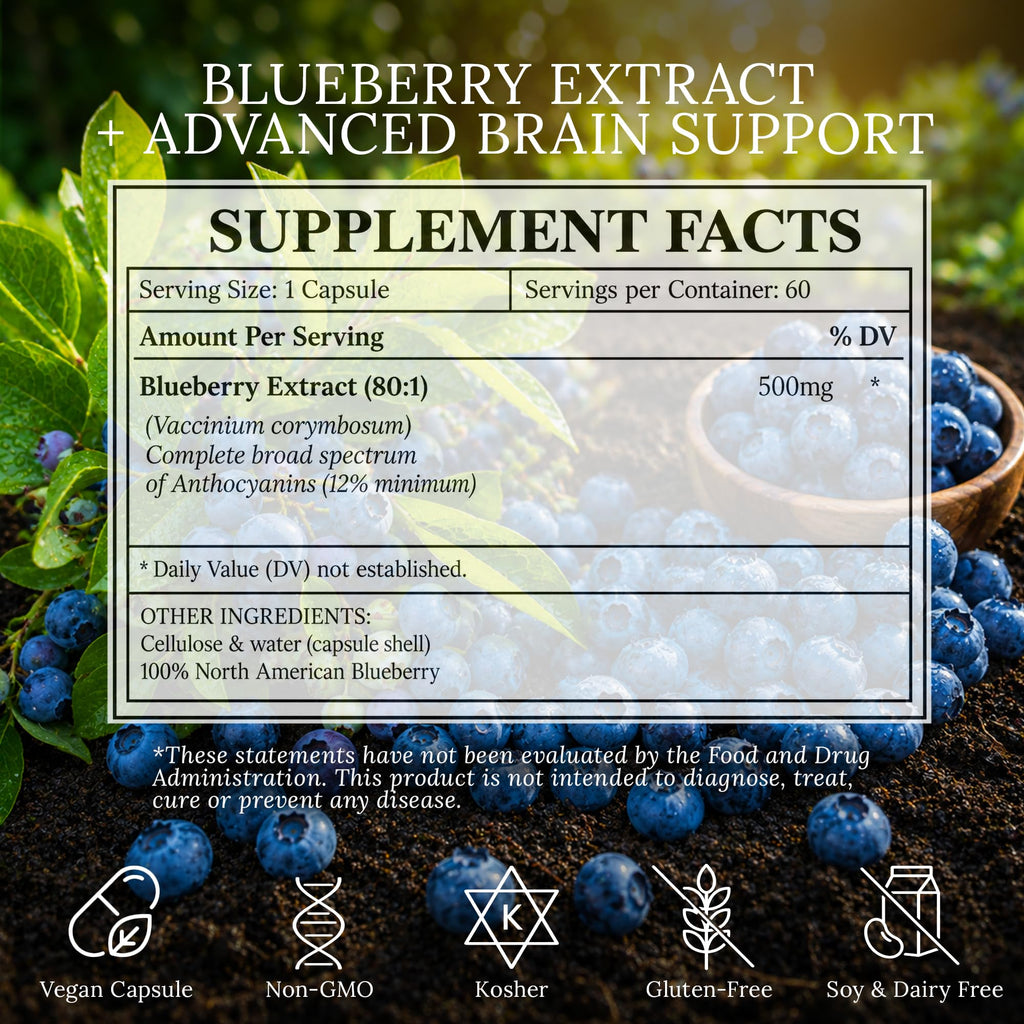 BioImmersion Blueberry 80:1 Extract 500mg Brain Support - 60 Capsules - image 4