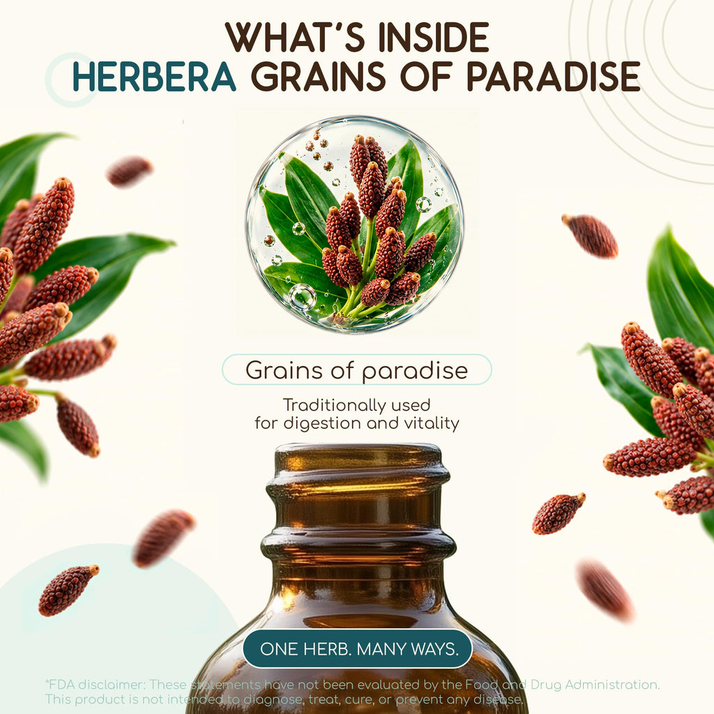 HerbEra Grains of Paradise Alcohol-Free Herbal Extract Tincture