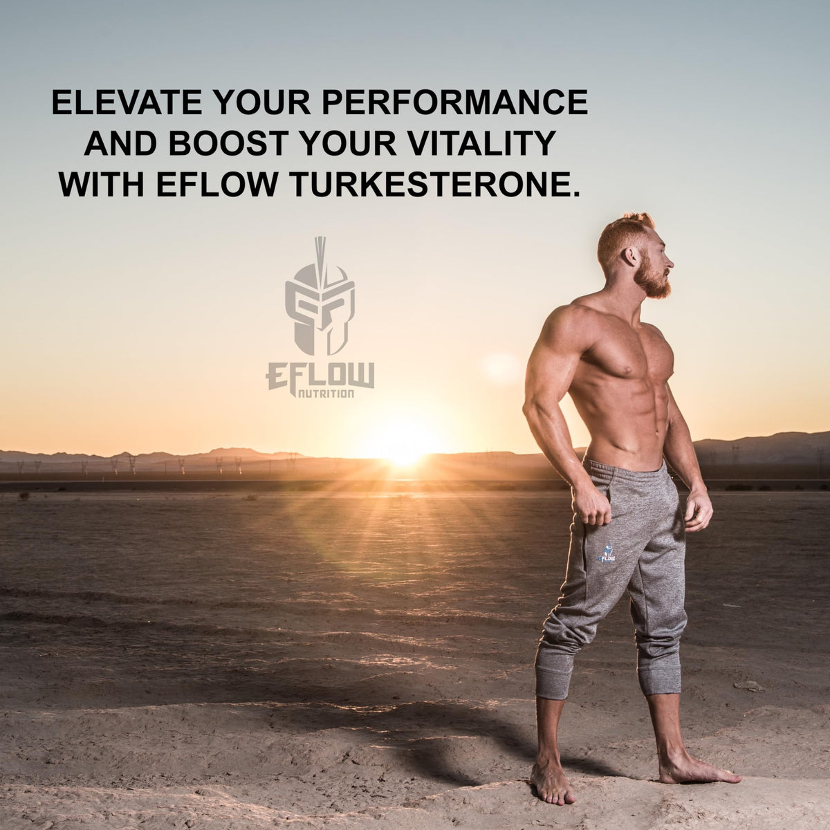 eFlow Nutrition Turkesterone Supplement - 60 Capsules - image 6