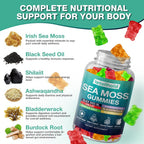 letollhold Sea Moss Gummies - Irish Sea Moss Gummies Advanced