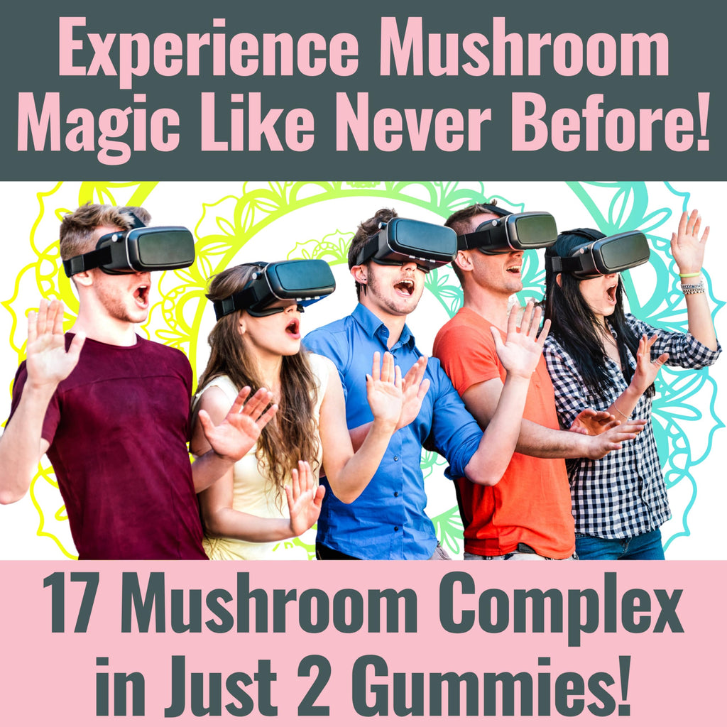 SHIZAM 17 Mushroom Complex Gummies for Adults - 60 Count - image 2
