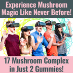 SHIZAM 17 Mushroom Complex Gummies for Adults - 60 Count - image 2