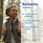 Patient One Berberine 500 mg Metabolic & Heart Support - 60 Capsules - image 4
