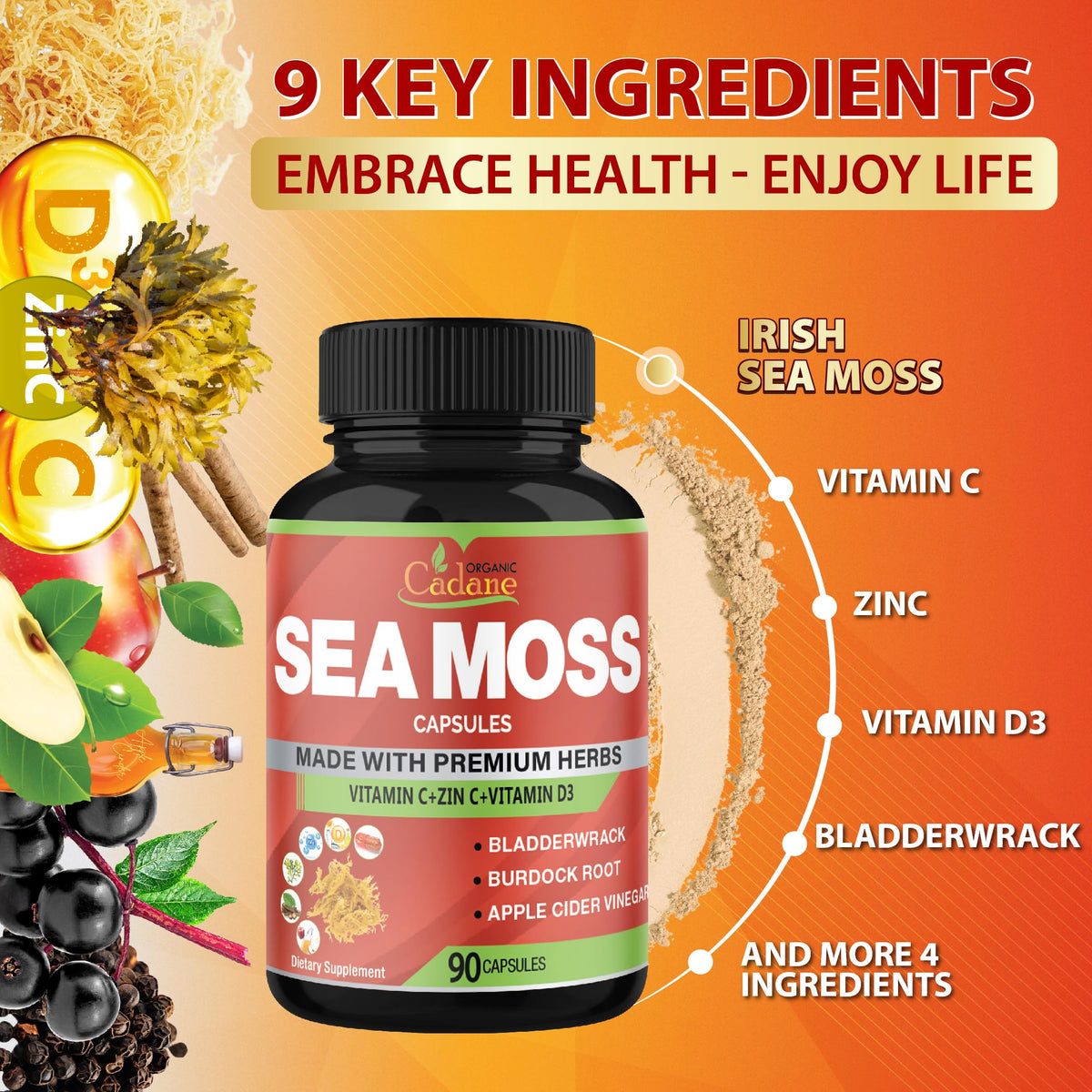Organic Cadane Irish Sea Moss Extract Capsules - 90 Vegetarian Capsules - image 5