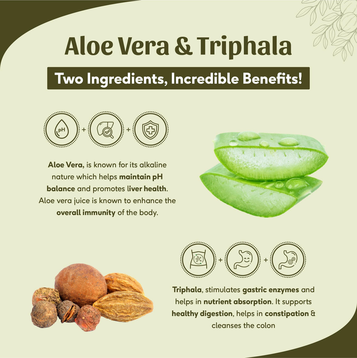 Sri Sri Tattva Aloe Vera Triphala Juice - 2 Pack - image 4