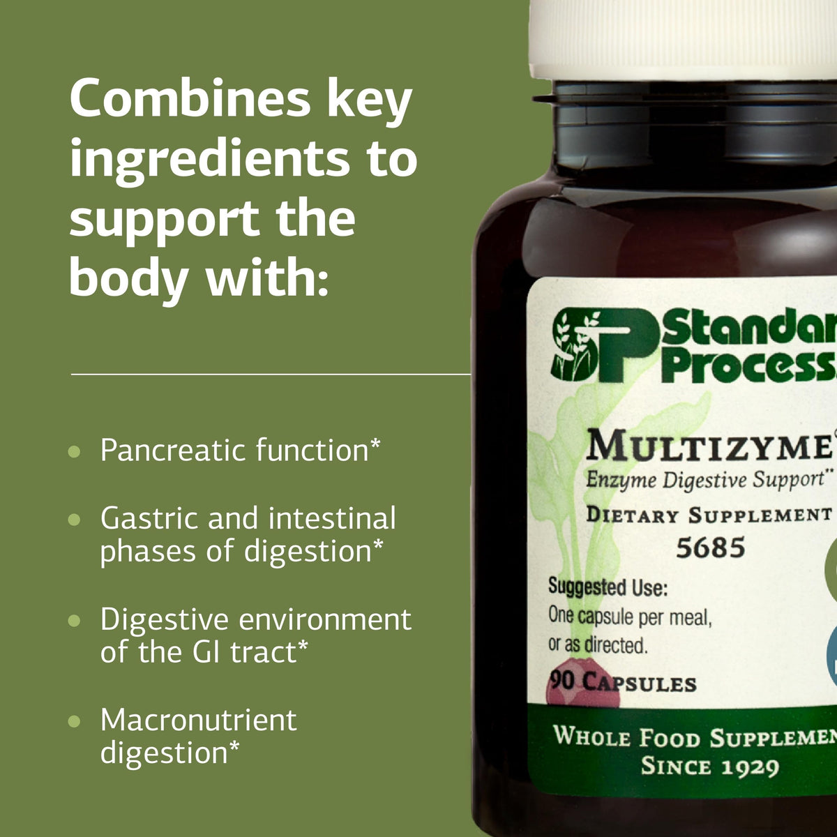 Standard Process Multizyme, Pancreatic Enzyme Digestive Aid