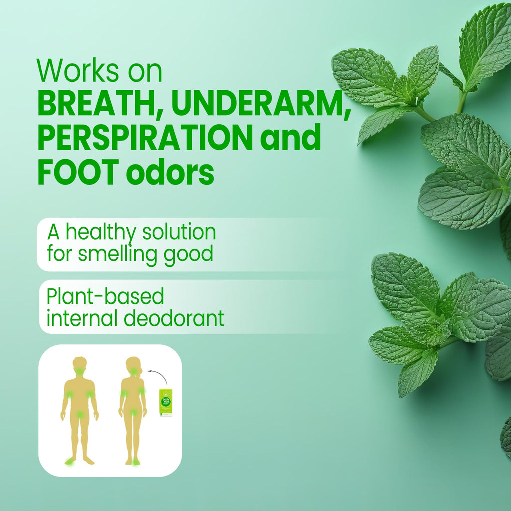 Body Mint Original Chlorophyll Deodorizing Supplement - 50 Tablets - image 3