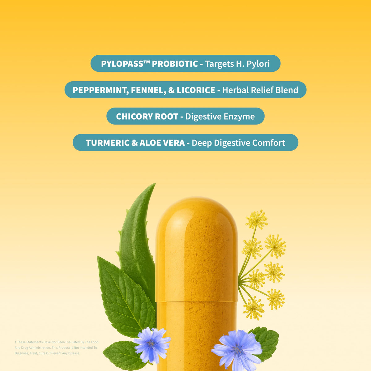 Snap Supplements Gut Health Lipase Supplement - 50 Capsules - image 2