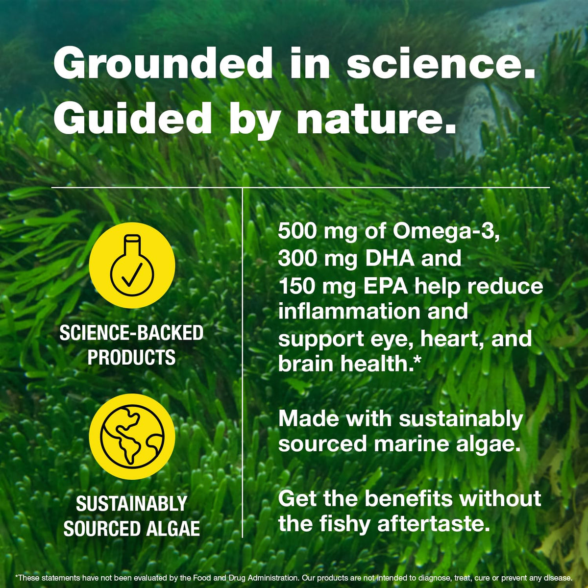 Bragg Marine Algae Omega-3 DHA & EPA Softgels - 90 Softgels - image 5