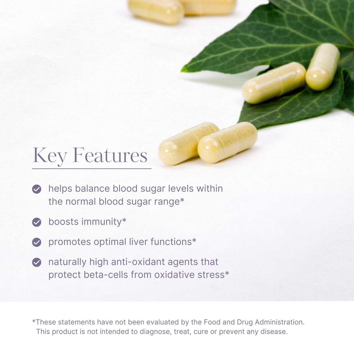AKSHAR Ayurveda Gluco Support Herbal Supplement - 60 Capsules - image 3