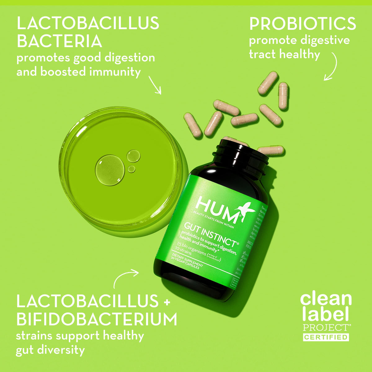 HUM Gut Instinct Daily Probiotic Lactobacillus - 90 Capsules - image 2