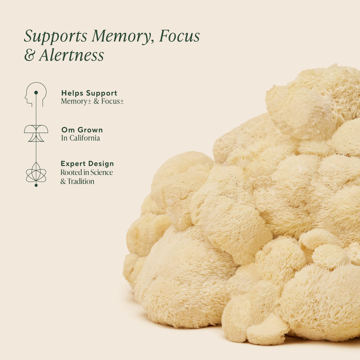 OM Mushroom Superfood Lion's Mane Powder - 50 Servings - image 3