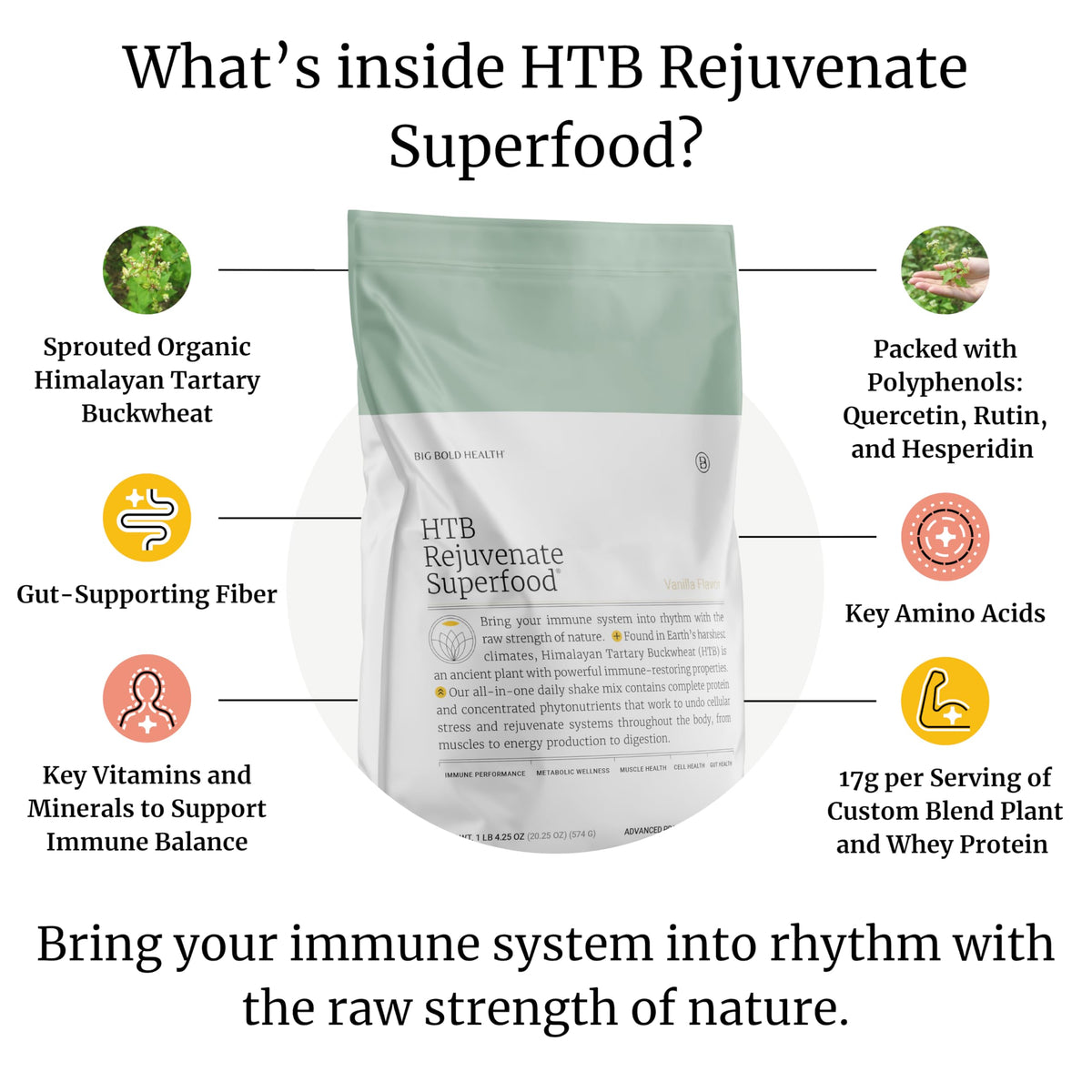 BIG BOLD HEALTH HTB Rejuvenate Plant-Based Protein Powder - 14 Servings - image 2