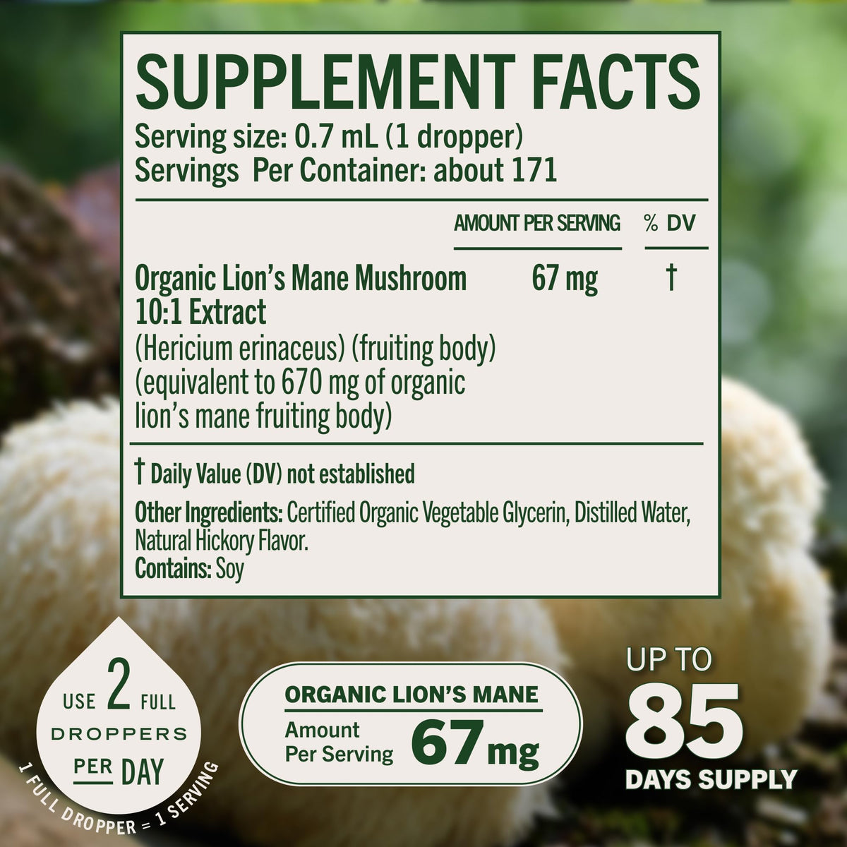 HERBAMAMA USDA Organic Lion's Mane Tincture Brain Supplement - 4 oz - image 4