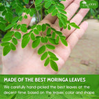 TOG999, Premium Chicory Gardenia Tea Bags, 100% Natural & Pure.