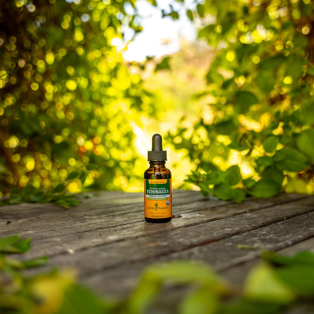 Herb Pharm Rapid Immune Boost Liquid Herbal Formula for Active Immune