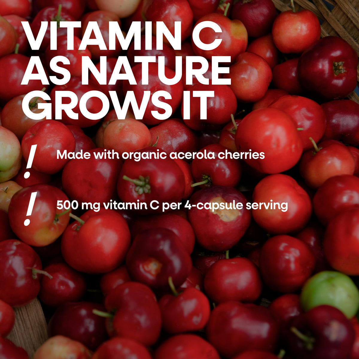 Nature's Way Alive! Vitamin C Capsules with Organic Acerola Cherry - image 4