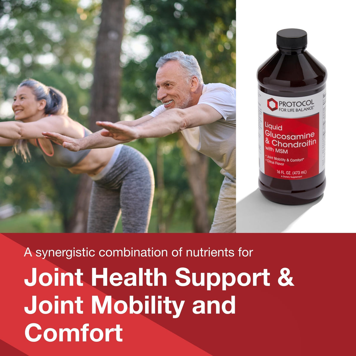Protocol for Life Balance Liquid Glucosamine Chondroitin - 16 fl oz - image 3