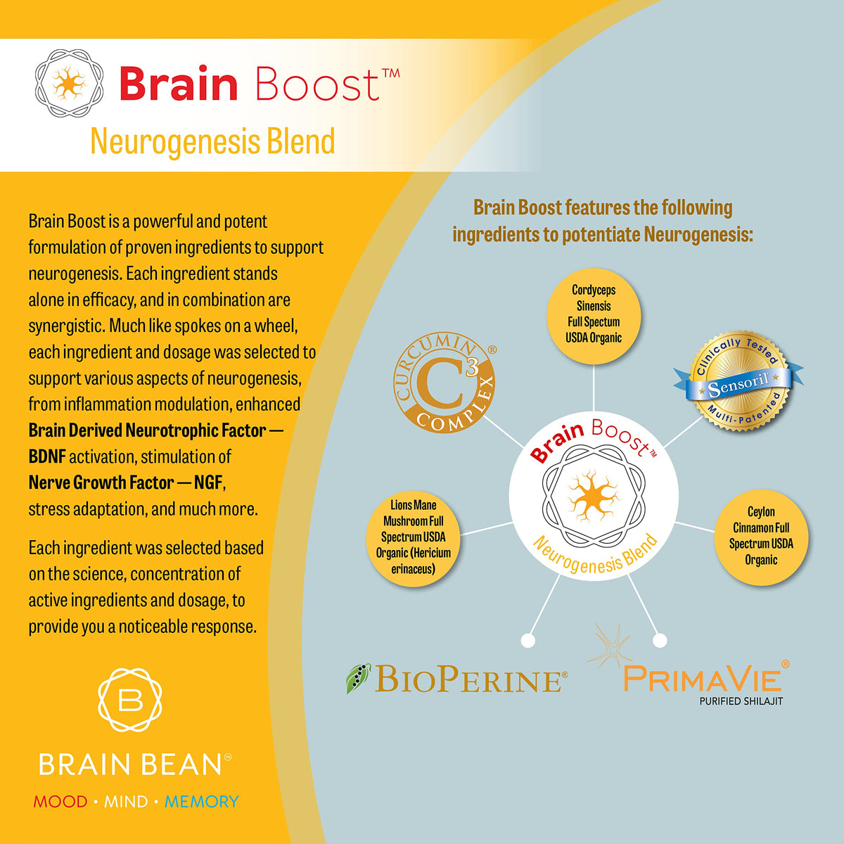 Brain Bean Brain-Boost Powder for Memory Support - 5.29 oz - image 2