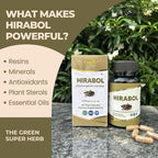 ORGANIC SPREE HIRABOL 60 Capsules