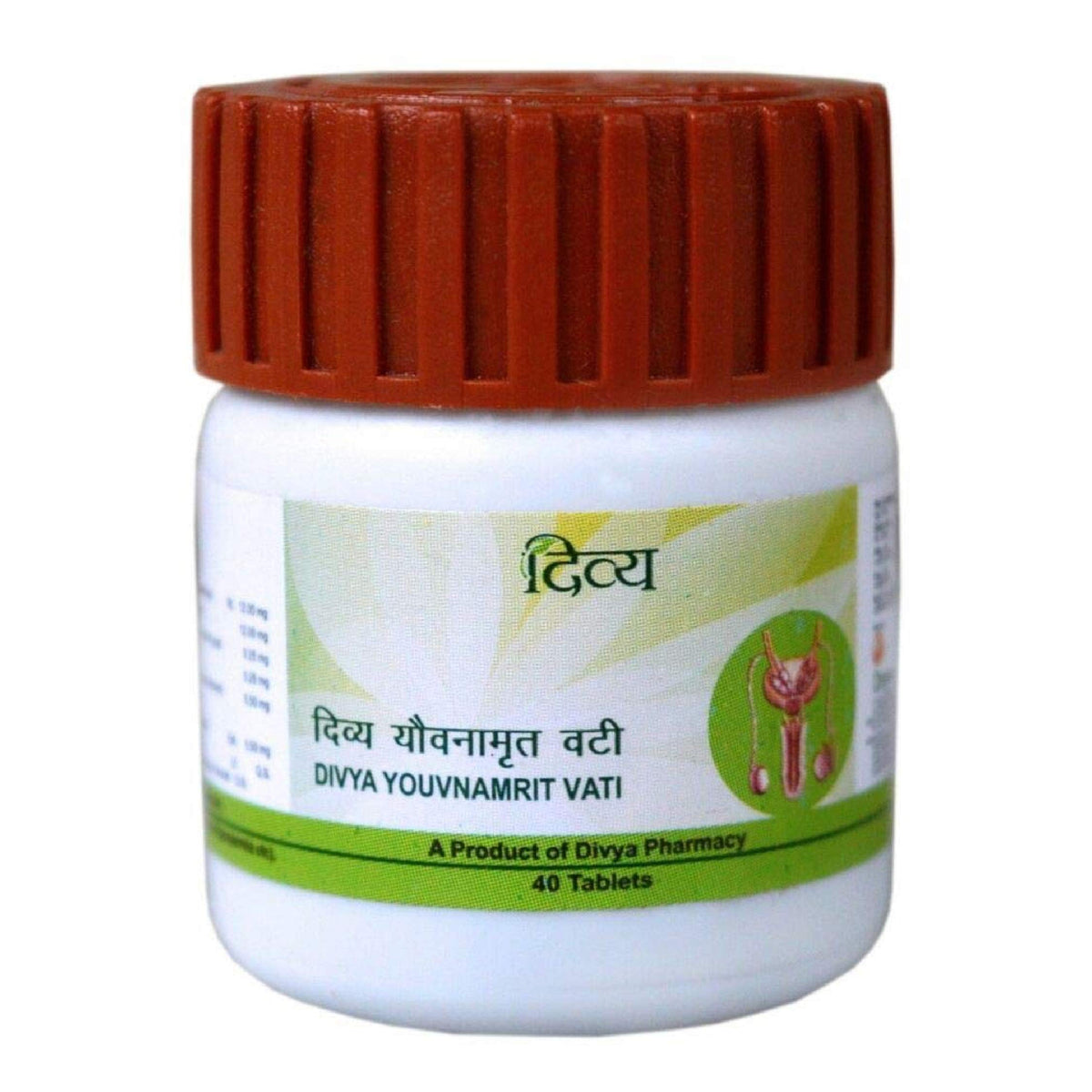 General Patanjali Youvnamrit Vati Ayurvedic Multivitamin - 40 Tablets