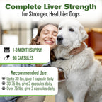 Silver Lining Herbs Dog Liver Support Supplement with Milk Thistle - 90 Capsules - image 4