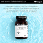 Blisque Magnesium Support Supplement - 90 Capsules - image 7