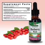 Nature's Answer Barberry Root Extract Liquid - 1 Fl Oz - image 3