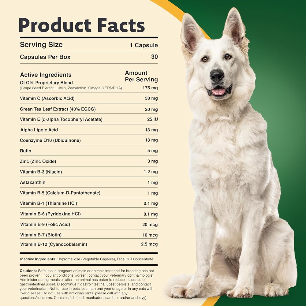 Ocu-GLO PB Vision Supplement Powder for Dogs & Cats - 30 Capsules - image 2