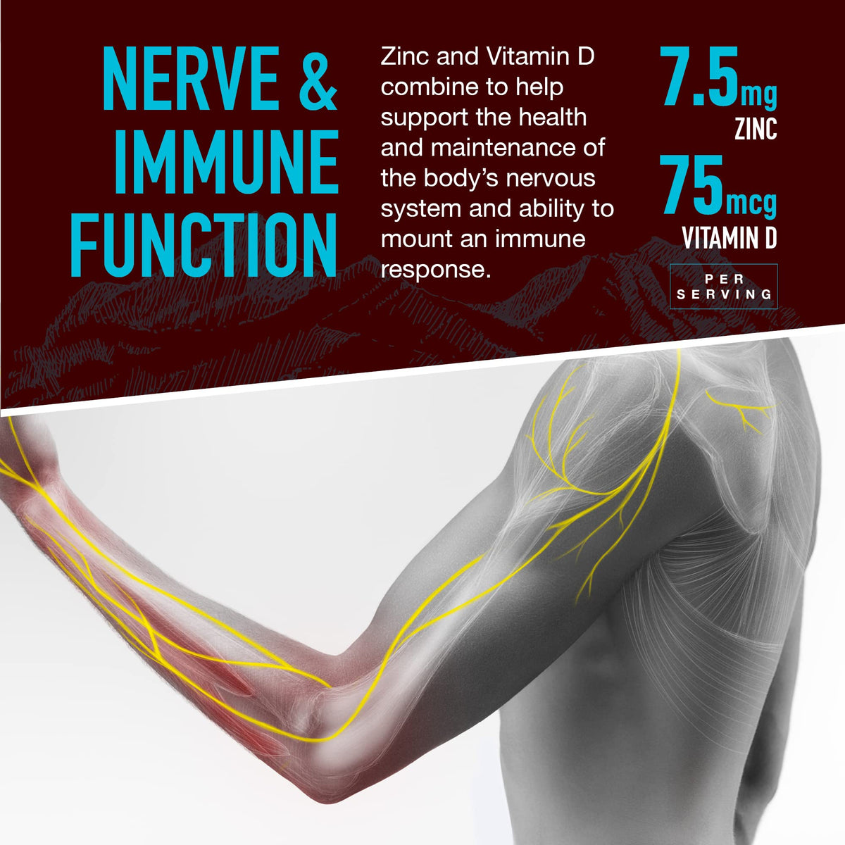 YUM-V'S Calcium, Magnesium, Zinc & Vitamin D Gummies by YumVs