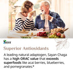 Sayan Chaga Mushroom Extract Powder - 4 oz - image 9