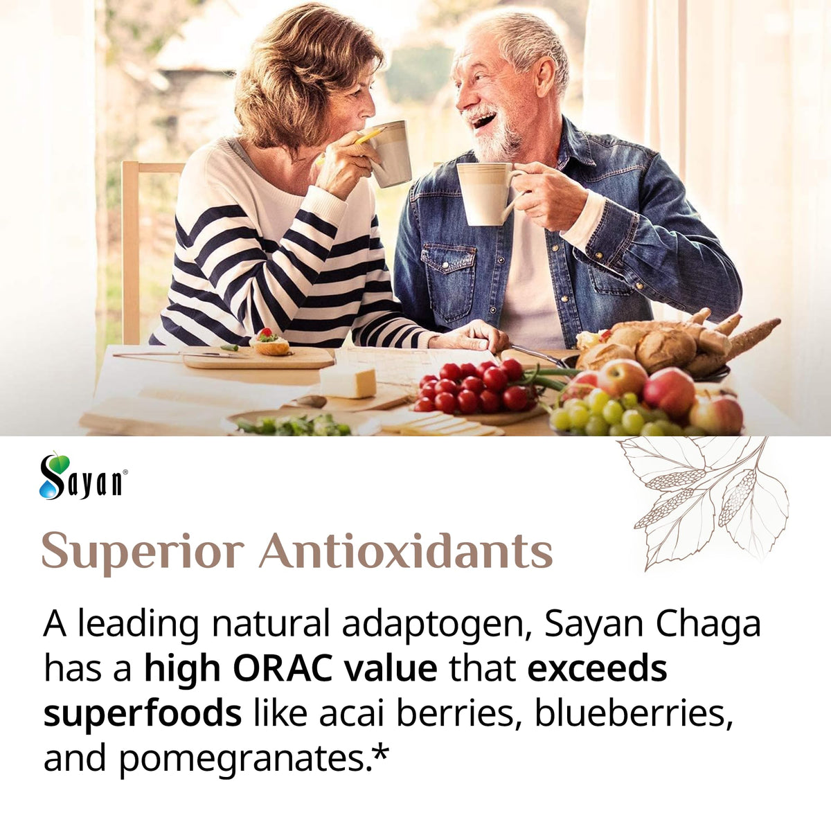 Sayan Chaga Mushroom Extract Powder - 4 oz - image 9