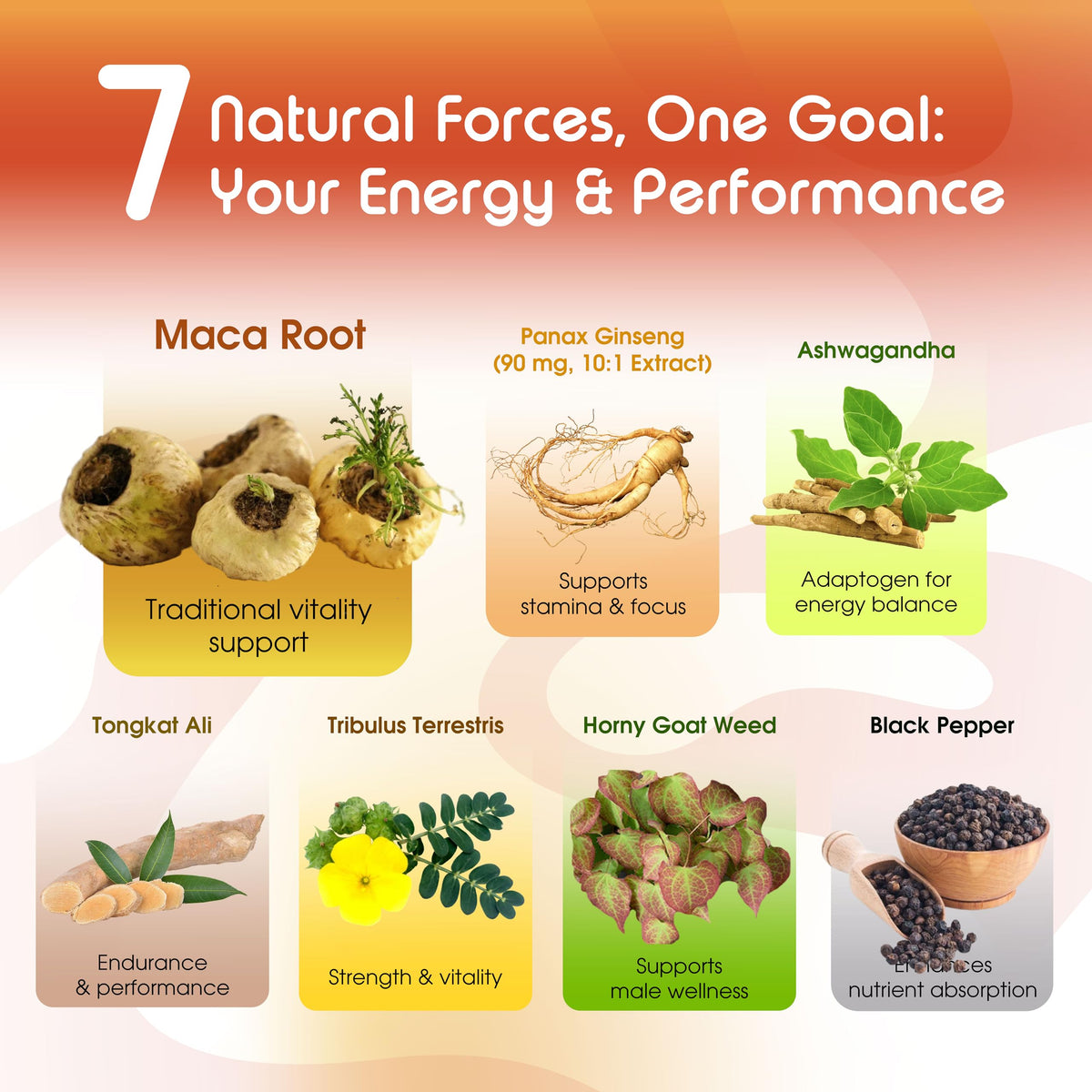 Vital Herbal Complete Maca Formula with Ginseng & Ashwagandha - 90 Capsules - image 4
